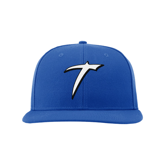 Twelve15 Global SnapBack